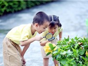 Nuôi dạy con trong gia đình hạt nhân: Không có “chân lý đương nhiên”